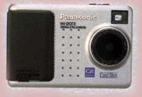 Pan20.JPG (8071 bytes)